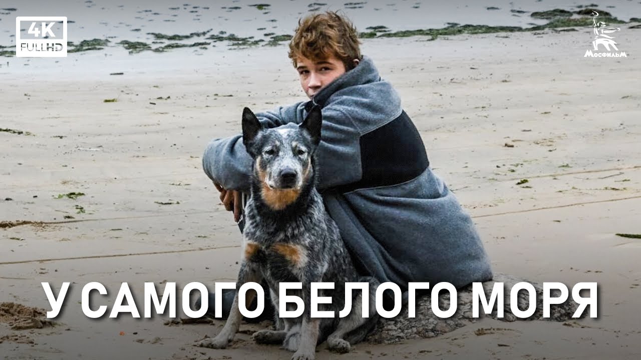 У самого Белого моря